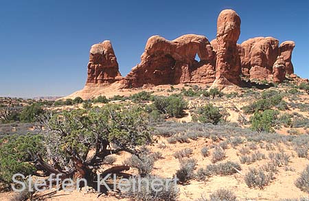 arches np - parade of elephants - utah - national park usa 019