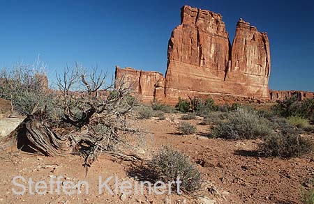 arches np - the organ - utah - national park usa 001