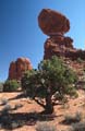 arches np - balanced rock - utah 009