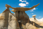 Bisti Badlands Nord, Wilderness, New Mexico, USA 08