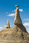 Bisti Badlands Nord, Wilderness, New Mexico, USA 12