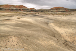 Bisti Badlands Nord, Wilderness, New Mexico, USA 15