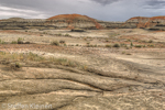 Bisti Badlands Nord, Wilderness, New Mexico, USA 20