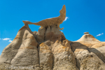 Bisti Badlands Nord, Wilderness, New Mexico, USA 21