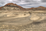 Bisti Badlands Nord, Wilderness, New Mexico, USA 23