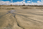 Bisti Badlands Nord, Wilderness, New Mexico, USA 26