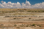 Bisti Badlands Nord, Wilderness, New Mexico, USA 33