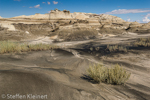 Bisti Badlands Nord, Wilderness, New Mexico, USA 36