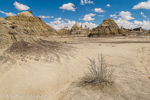 Bisti Badlands Nord, Wilderness, New Mexico, USA 52