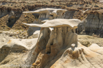 Bisti Badlands Nord, Wilderness, New Mexico, USA 63