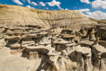 Bisti Badlands Nord, Wilderness, New Mexico, USA 71