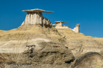 Bisti Badlands Nord, Wilderness, New Mexico, USA 74