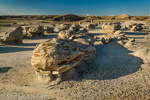 Cracked Eggs, Egg Factory, Bisti Badlands, Wilderness, New Mexico, USA 11