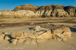 Cracked Eggs, Egg Factory, Bisti Badlands, Wilderness, New Mexico, USA 12