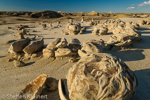 Cracked Eggs, Egg Factory, Bisti Badlands, Wilderness, New Mexico, USA 13