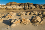 Cracked Eggs, Egg Factory, Bisti Badlands, Wilderness, New Mexico, USA 15