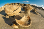 Cracked Eggs, Egg Factory, Bisti Badlands, Wilderness, New Mexico, USA 21