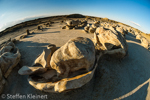 Cracked Eggs, Egg Factory, Bisti Badlands, Wilderness, New Mexico, USA 22