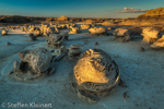 Cracked Eggs, Egg Factory, Bisti Badlands, Wilderness, New Mexico, USA 26