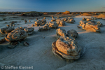 Cracked Eggs, Egg Factory, Bisti Badlands, Wilderness, New Mexico, USA 29