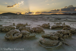 Cracked Eggs, Egg Factory, Bisti Badlands, Wilderness, New Mexico, USA 30