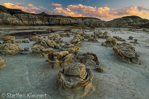 Cracked Eggs, Egg Factory, Bisti Badlands, Wilderness, New Mexico, USA 32