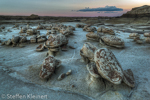 Cracked Eggs, Egg Factory, Bisti Badlands, Wilderness, New Mexico, USA 35