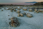 Cracked Eggs, Egg Factory, Bisti Badlands, Wilderness, New Mexico, USA 36