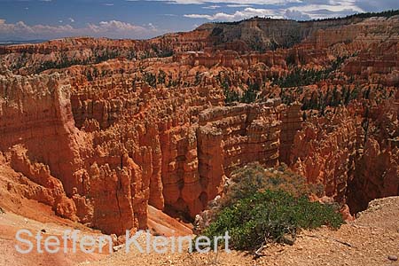 bryce canyon - utah - national park usa 001