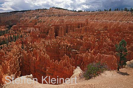 bryce canyon - utah - national park usa 002