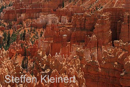 bryce canyon - utah - national park usa 003