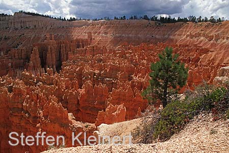 bryce canyon - utah - national park usa 005