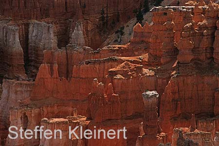 bryce canyon - utah - national park usa 006