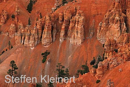 bryce canyon - utah - national park usa 016