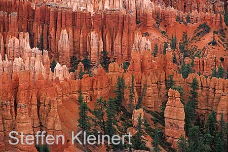 bryce canyon - utah - national park usa 017