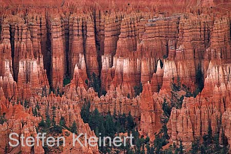 bryce canyon - utah - usa - national park usa 019