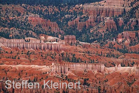 bryce canyon - utah - usa 020