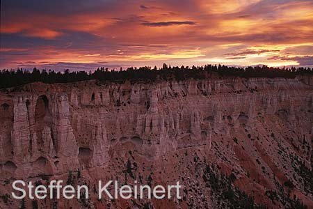 bryce canyon - utah - usa 023