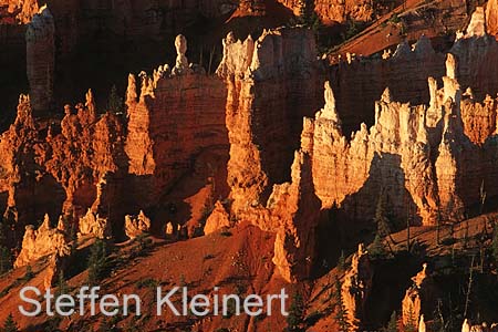 bryce canyon - utah - usa 027