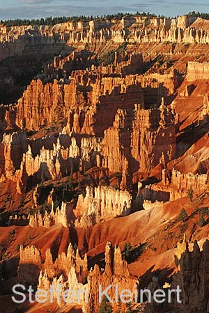 bryce canyon - utah - usa 028