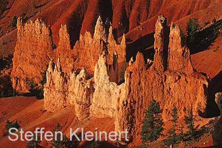 bryce canyon - utah - usa - nationalpark usa 029