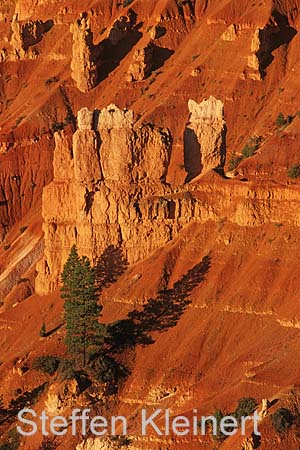 bryce canyon - utah - usa 030