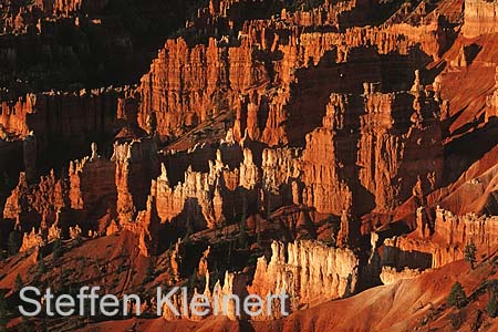 bryce canyon - utah - usa 032