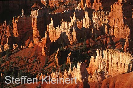 bryce canyon - utah - usa 033