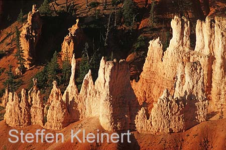 bryce canyon - utah - usa 035