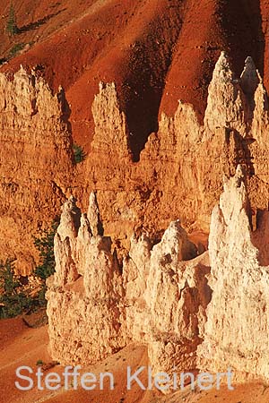 bryce canyon - utah - usa 037