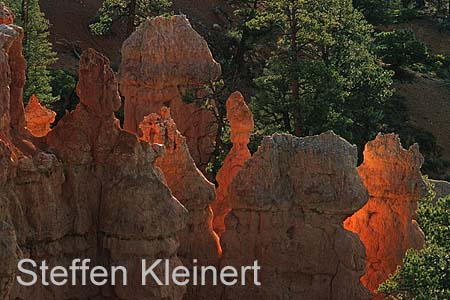 bryce canyon - utah - usa - nationalpark usa 038