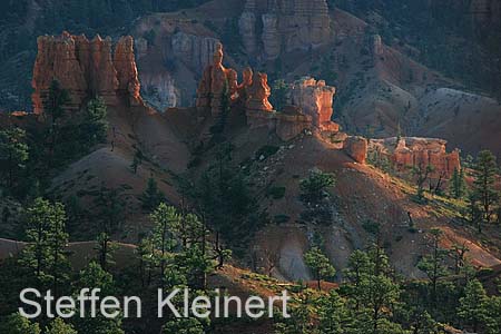 bryce canyon - utah - usa 039