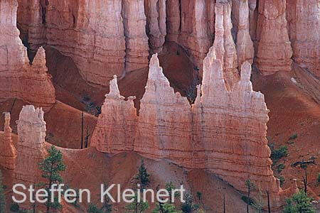 bryce canyon - utah - usa - nationalpark usa 040