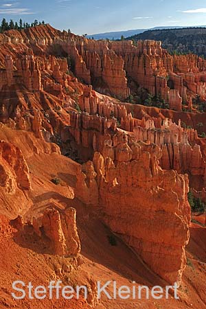 bryce canyon - utah - usa 041